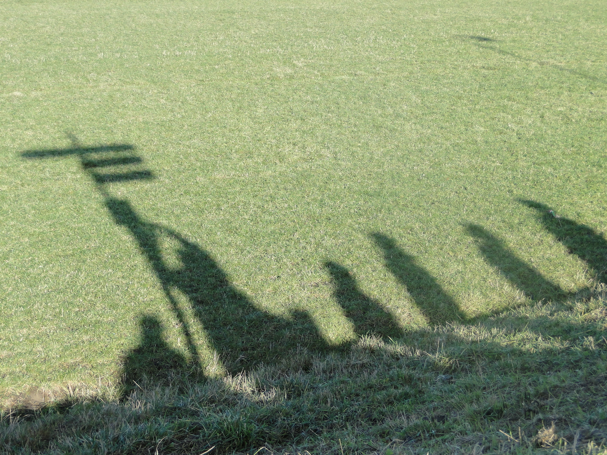 NWK 2010 202.jpg